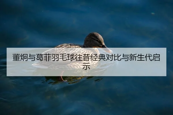 董炯与葛菲羽毛球往昔经典对比与新生代启示